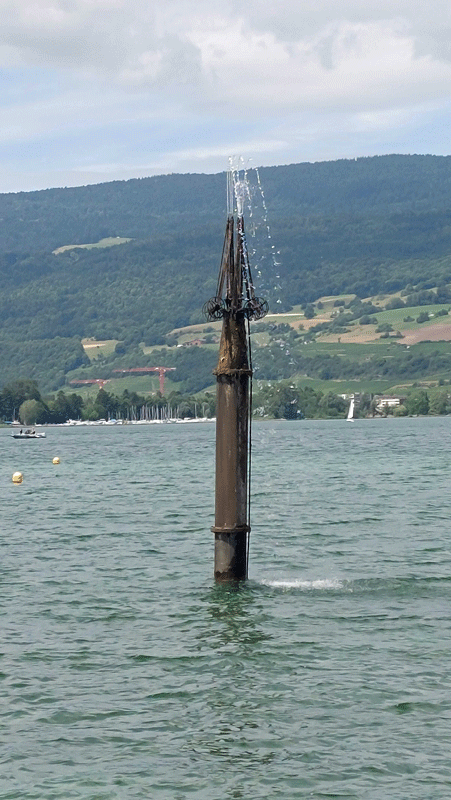 Galeriebild